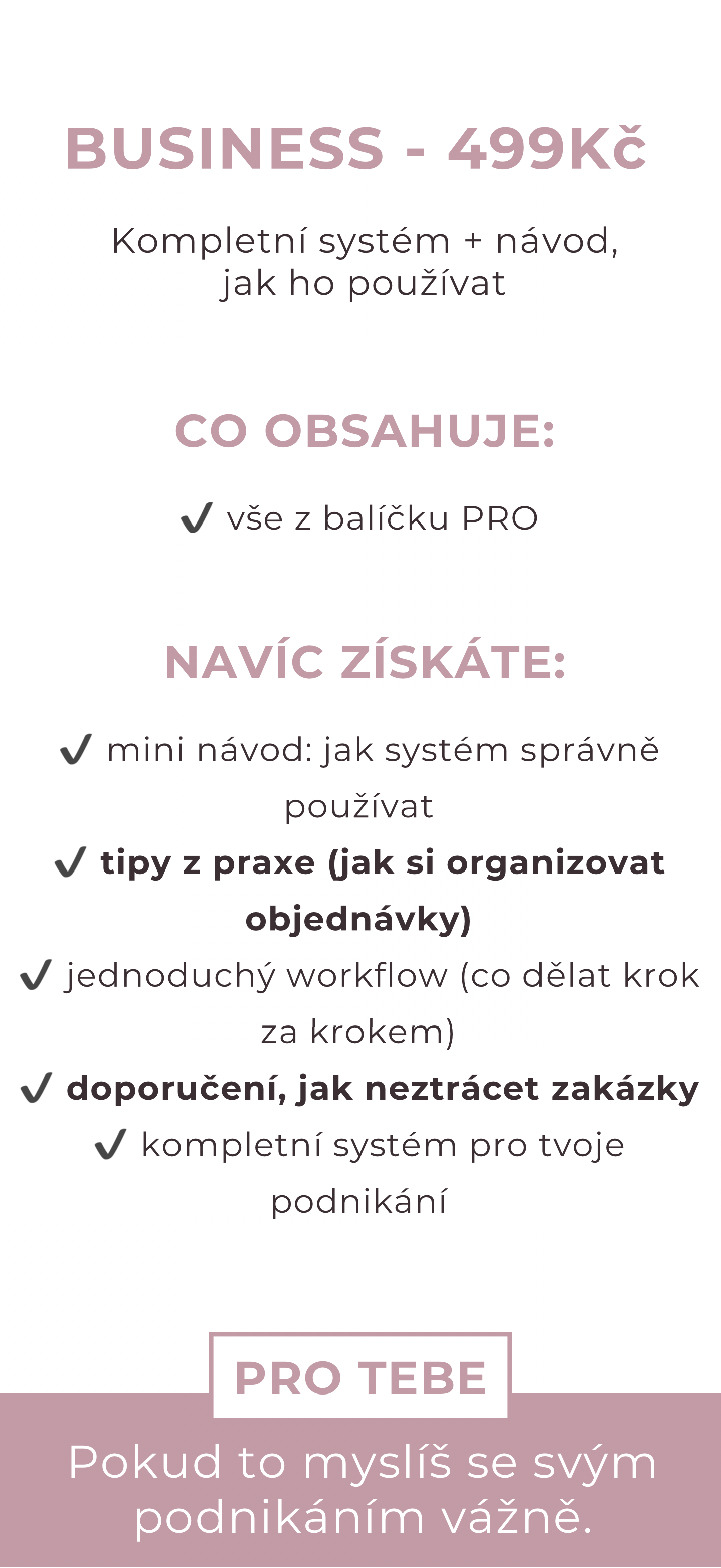 BANNER 3x malý (460 x 700 px) - Banner9 BUSSINESS  se